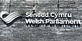 Senedd Cymru (cropped)