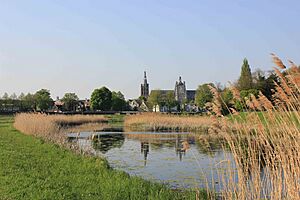 Sint-Janskathedraal, Het Bossche Broek, 's-Hertogenbosch