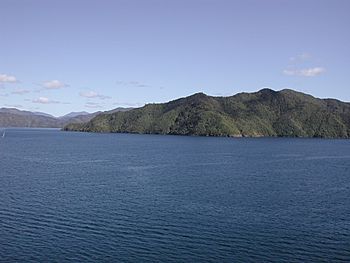 Southern end of Arapawa Island.jpg