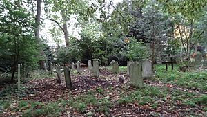 St John's Wood Churchyard wildlife area
