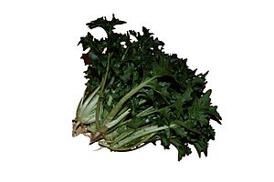 Stielmus
