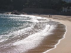 Tamariu Beach