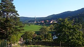 A general view of Thannenkirch