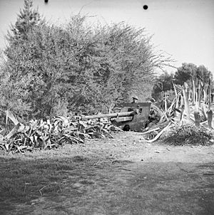 The British Army in Tunisia 1943 NA939