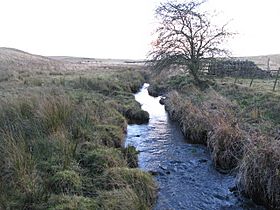 The infant River Wansbeck - geograph.org.uk - 627089
