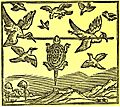 Tortoise and Birds (North)