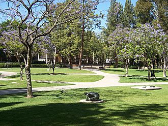 UCLA Franklin D. Murphy Sculpture Garden picture 4