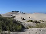 Sand dunes at Oregon Dune National Recreation Area.