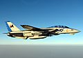 US Navy 051010-N-5088T-001 A specially painted F-14D Tomcat, assigned to the Blacklions of Fighter Squadron Two One Three (VF-213), conducts a mission over the Persian Gulf
