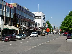 Vammala, Onkiniemenkatu