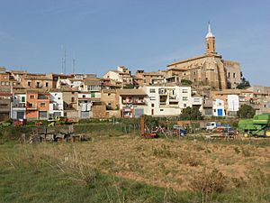 Vista de Calatorao (Aragón).JPG