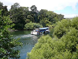 Waipa Delta and railway bridge
