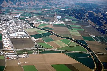 Watsonville California aerial view.jpg