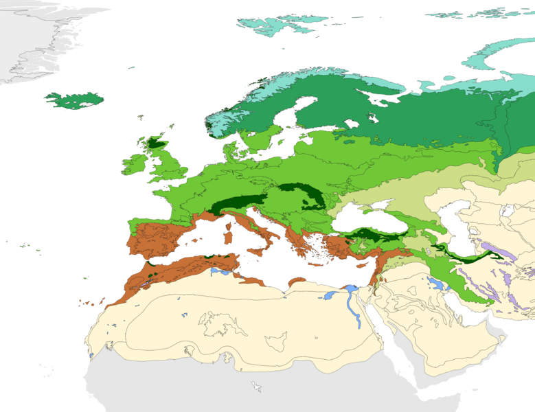 Western palearctic biomes