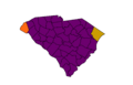 2008 Democratic primary in South Carolina