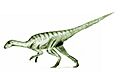 Agilisaurus2