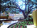 Aguadilla El Parterre
