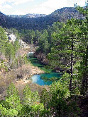 Alto Tajo. Poveda de la Sierra.jpg