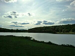 Arctic Lake at Oquaga Creek State Park