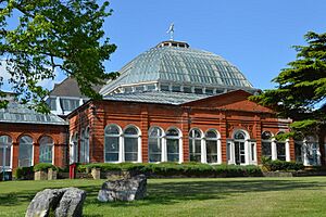 Avery Hill Park hothouse (17767255915)