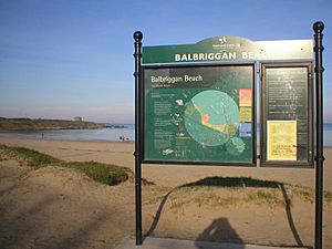 Balbriggan 002
