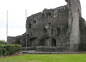 BallymoteCastle13