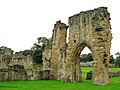 Basingwerk Abbey 2