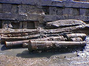 Belle bronze cannon