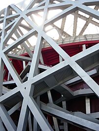 Bird's Nest Stadium Structure