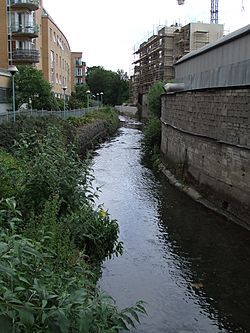 Camac River looking south at Inchicore by The Tramyard development.