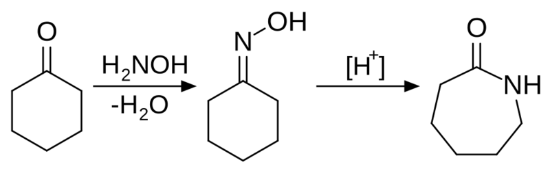 Caprolactam Synthesis