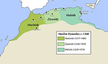 The Marinid Sultanate in 1360