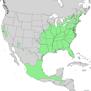 Cephalanthus occidentalis range map 1.png