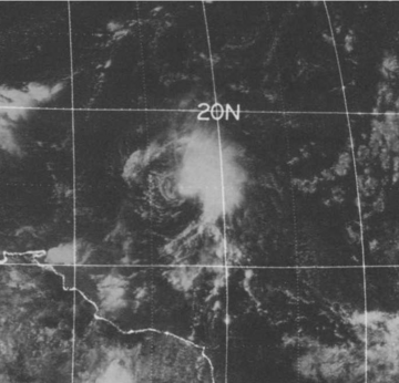 Christine 73 sat pic.png