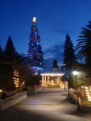 Christmas tree in Actopan, Hidalgo, Mexico (2020). 03
