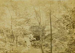 Cliff Cave. Picnic party in front of entrance, distant view. 13 June 1891