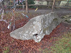 Coldrum Long Barrow 35