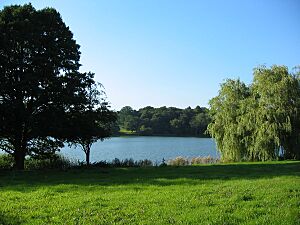 Comber Mere