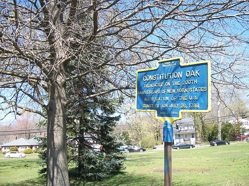Constitution Oak Plaque; Old Huntington Town Green HD
