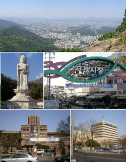 Clockwise from top: Cityscape of Daegu, Seomun Market, Daegu City Hall, Kyungpook National University, and Donghwasa Temple