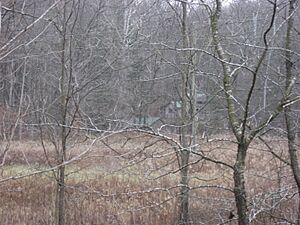 Elm Spring Farm fields