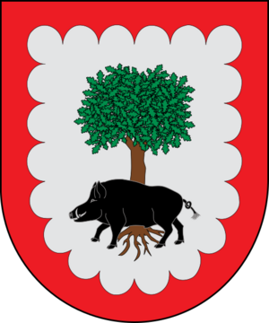 Escudo de Aezkoa