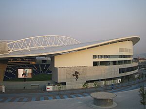 Estadio do Dragao 20050805