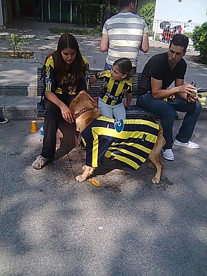 Fenerbahçe SK fans