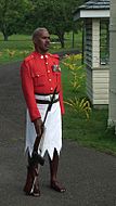 Fiji palace guard