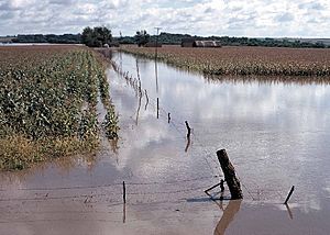 Flooded cropland in southwest Iowa