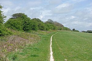 Footpath towards Moulsecoomb Wild Park - geograph.org.uk - 1832847