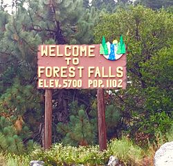 Forest Falls welcome sign