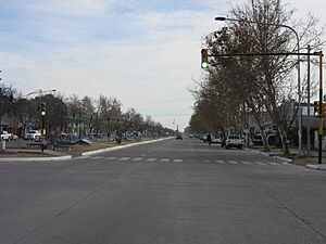 General Alvear, Mendoza Province, Argentina - panoramio.jpg