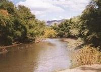 Gila River near town of Riverside1